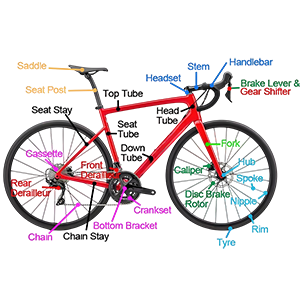 Carbon Bike