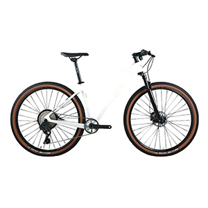 carbon mountain bike wheels 29