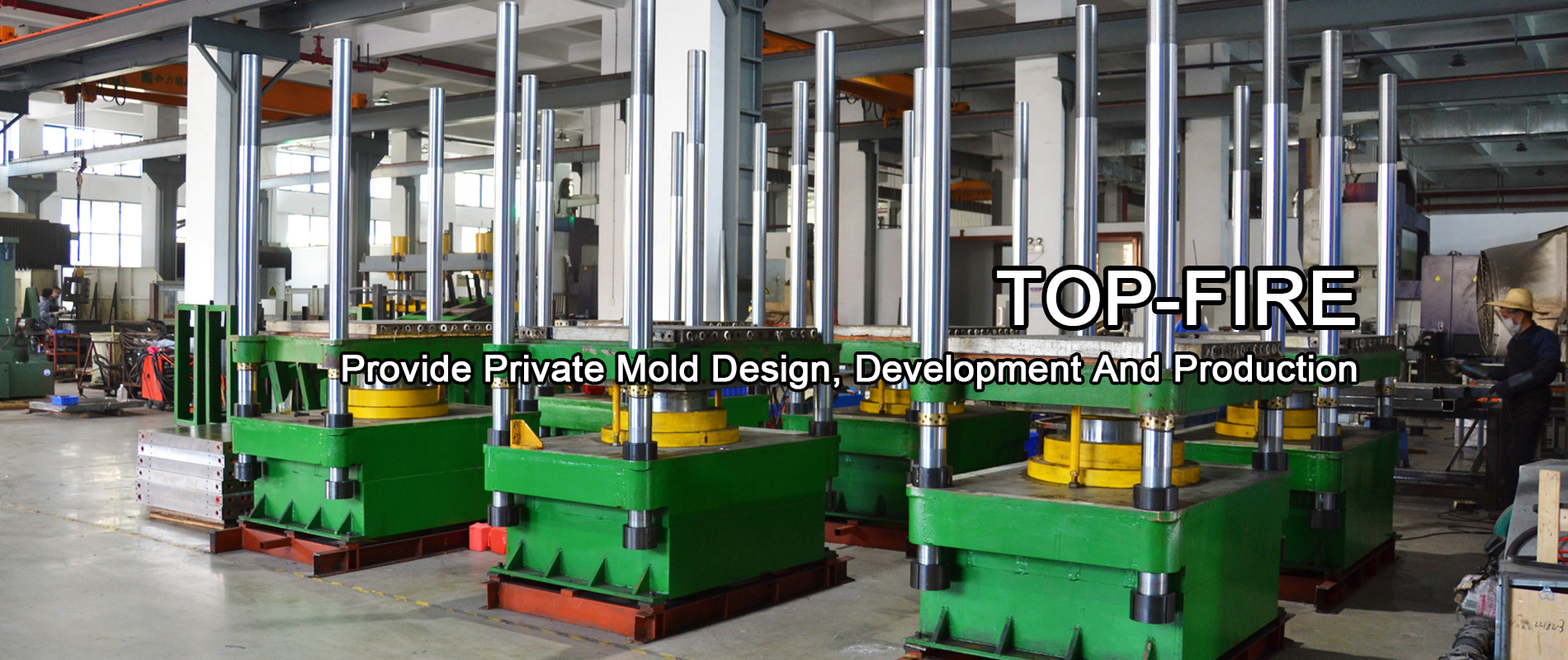Provide private mold design, development and production